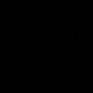 Meet your Posher, Jazmynne